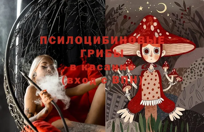 Псилоцибиновые грибы Magic Shrooms  Анадырь 